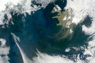 Plankton blooms in the North Atlantic.