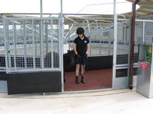 Monarch_Equestrian.jpg