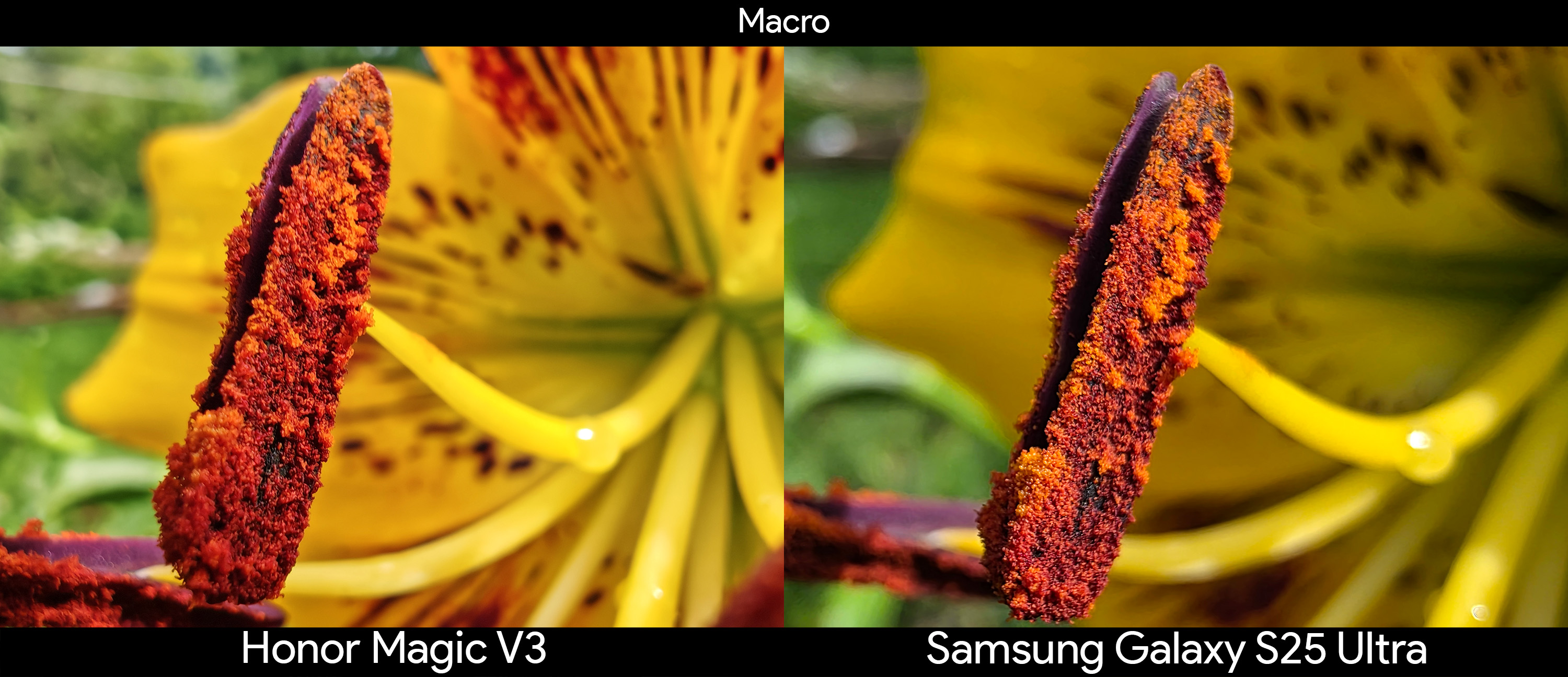 Comparing the ultrawide camera's macro mode between the Honor Magic V3 and Samsung Galaxy S25 Ultra looking at a flower's pollen up close