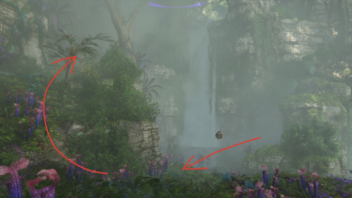 avatar find nor