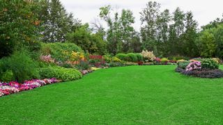 A freshly cut green lawn with flowers around its landscape