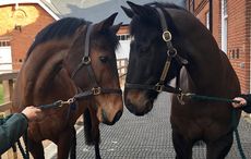 The-Cheka-left-and-Kingsgate-Native-right-in-the-Rothschild-Yard.jpg