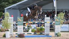 Tim Price is the winner of Pau Horse Trials with Jarillo