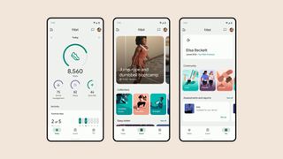 Fitbit App