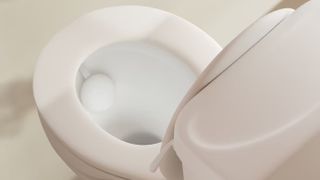 Pebble like device in basin of toilet