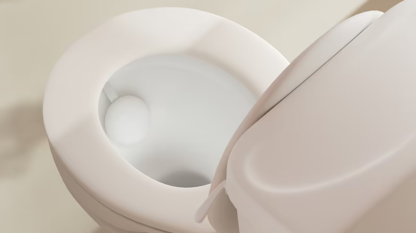 Pebble like device in basin of toilet