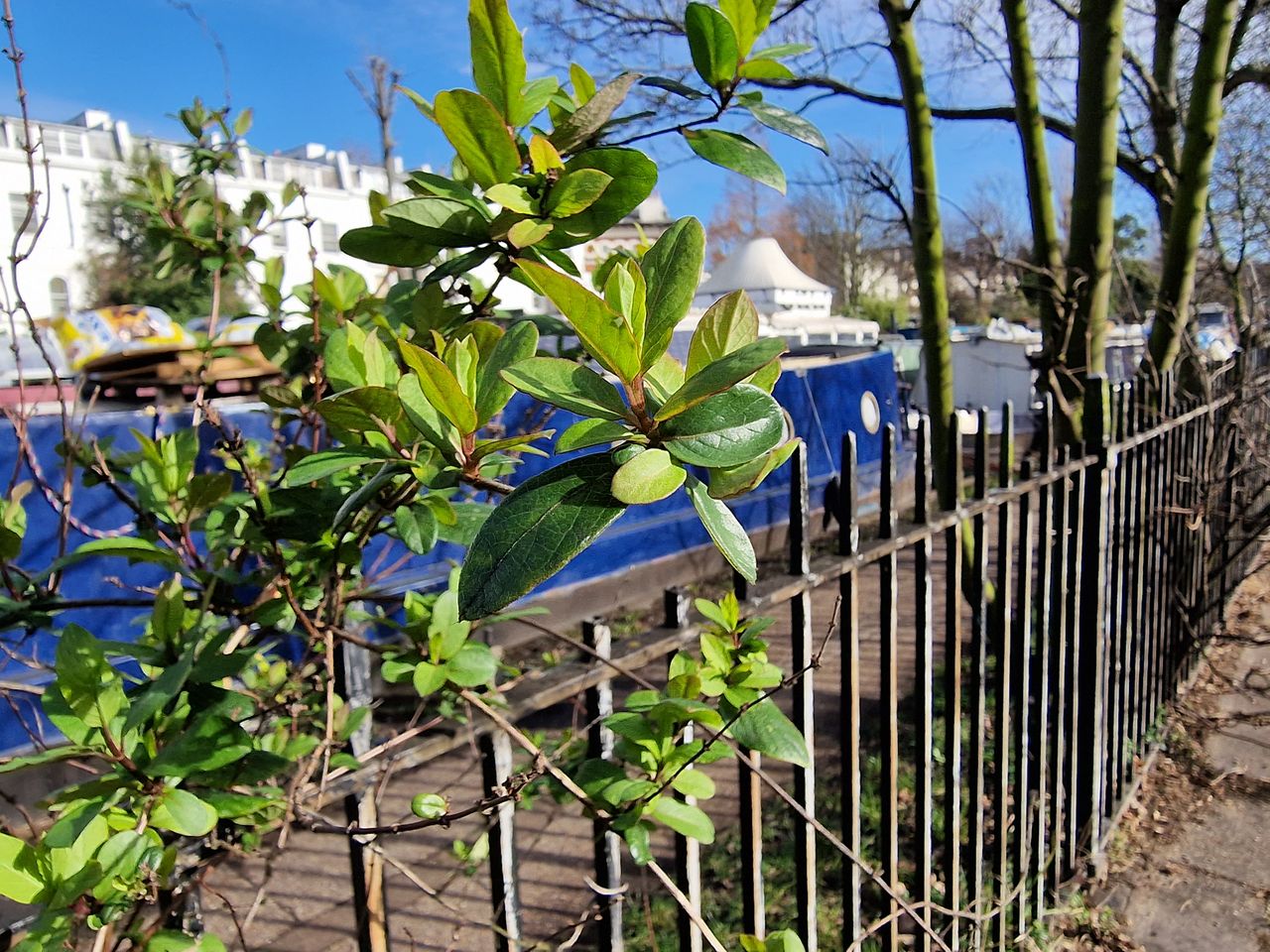 Samsung Galaxy S22 Ultra camera sample