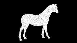A still from the rotating horse optical illusion video