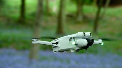 DJI Mini 3 Pro flying in a forest with bluebells