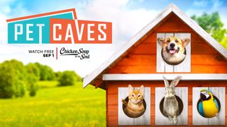 Pet Caves Chicken Soup for the Soul