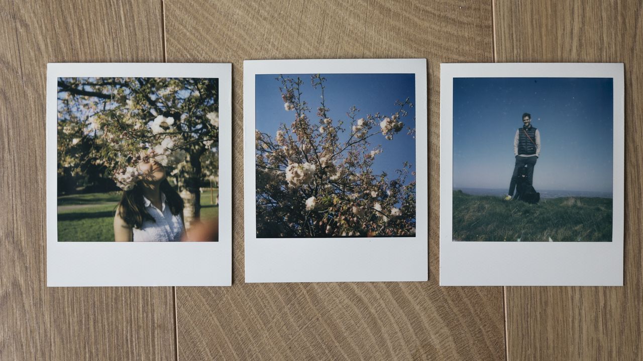 Test shots using the Polaroid Flip