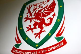 Wales v Republic of Ireland – 2018 FIFA World Cup Qualifying – Group D – Cardiff City Stadium