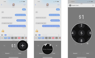 How to request money with Apple Cash in the Messages app on the iPhone by showing steps: Tap the - or + buttons to select an amount, Tap Show Keypad if you want to enter a specific amount, Enter your amount