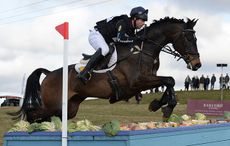 HorseNo862_BurnhamMarket15pn_6696.jpg