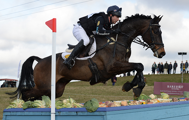 HorseNo862_BurnhamMarket15pn_6696.jpg
