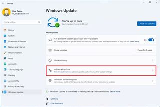 Windows Update settings Advanced options