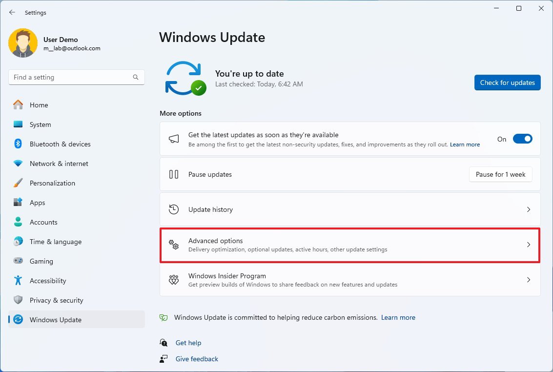 Windows Update settings Advanced options