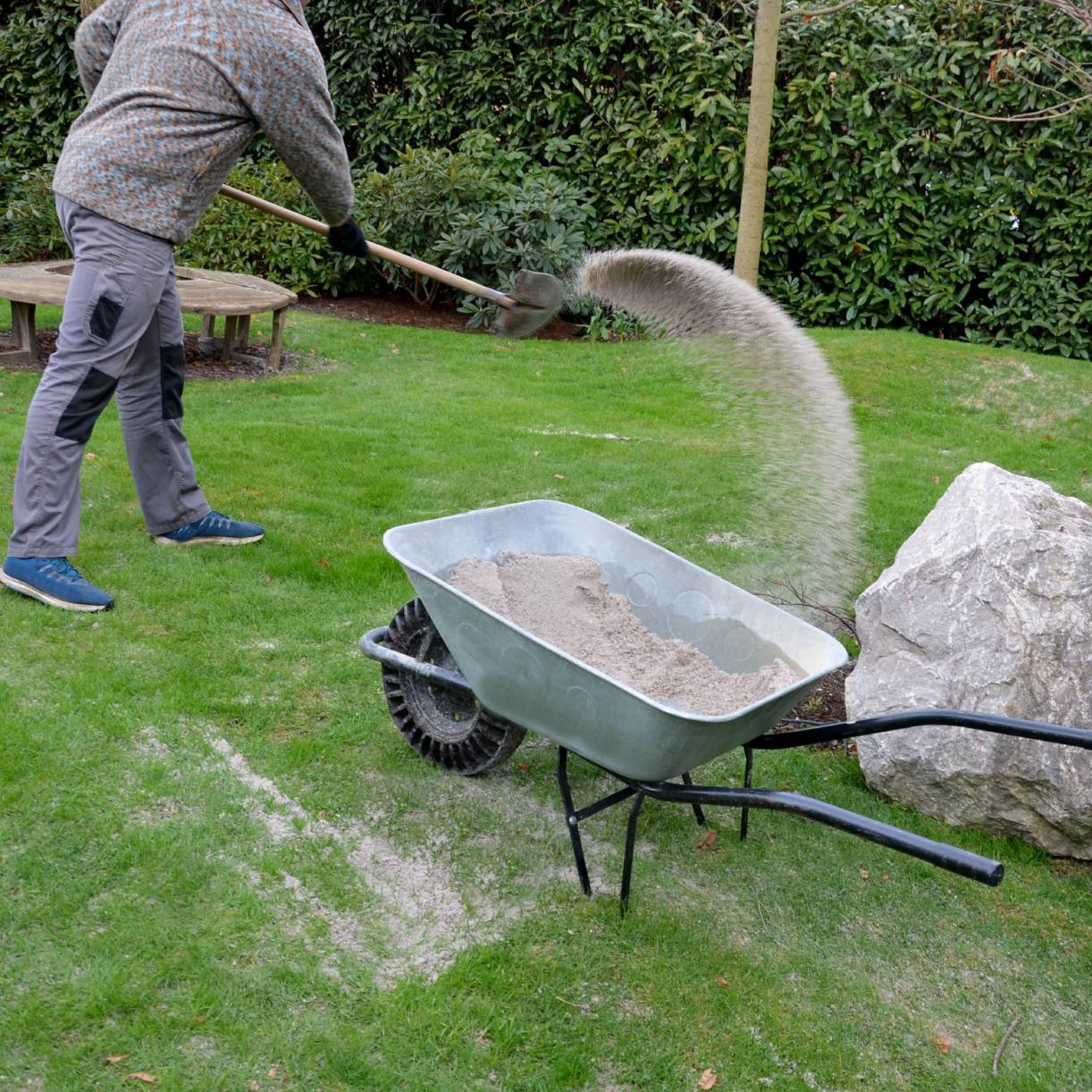 A man spreads sand from a wheelbarrow over a lawn