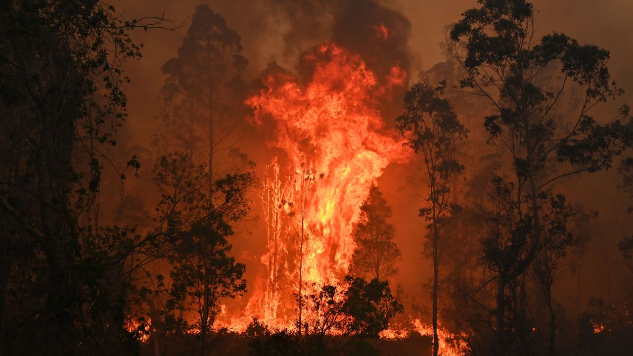 Aus fire