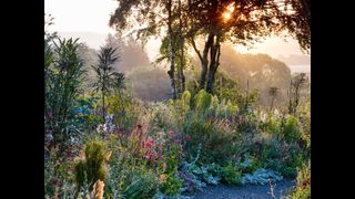 Hunting Brook Garden, Ireland, designed byJimi Blake.
