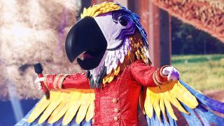 The Macaw on The Masked Singer on Fox