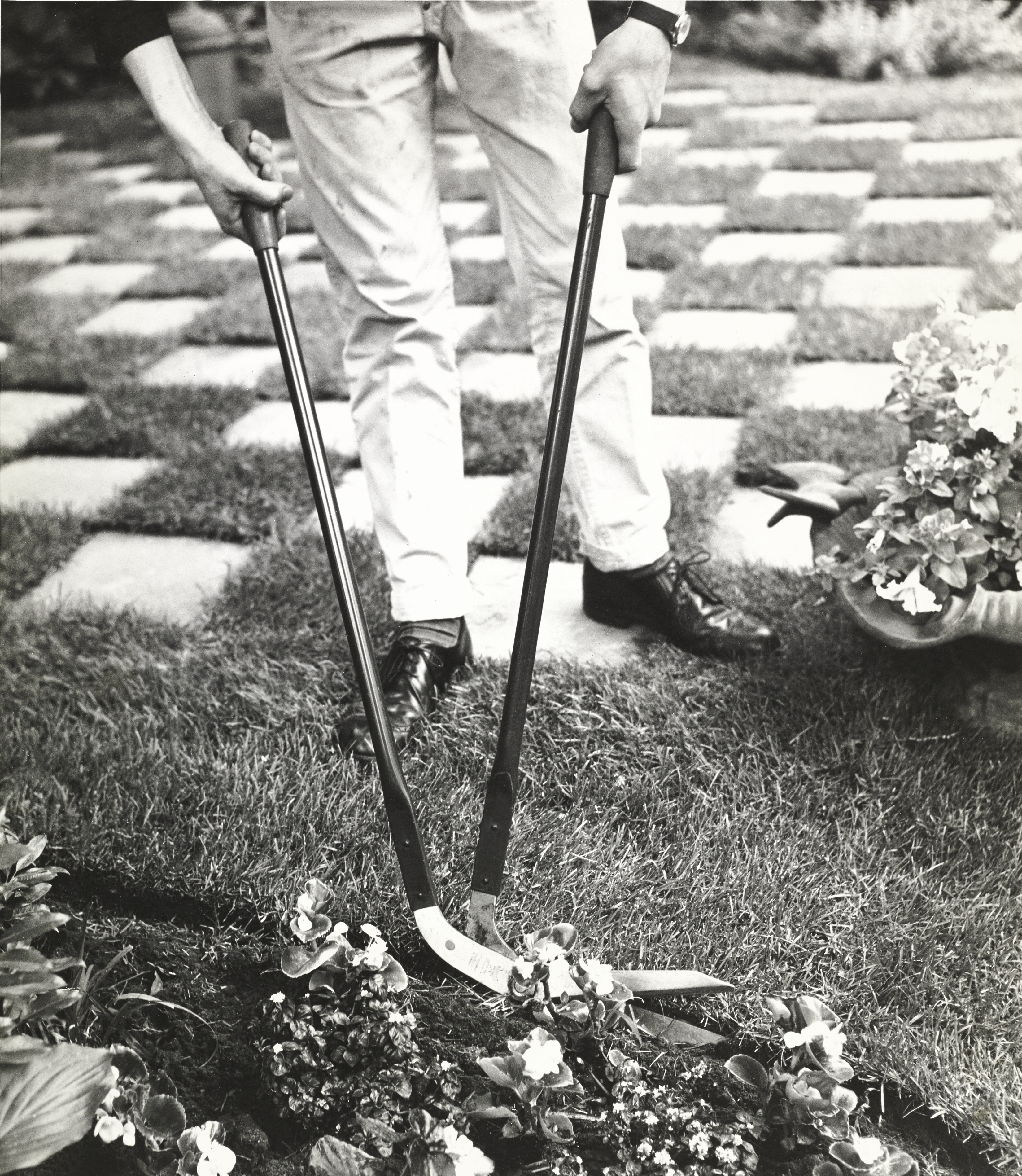 Man using turf trimmers on edge of flower bed and lawn