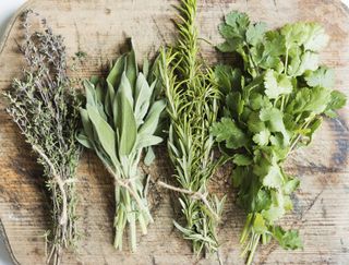Thyme, sage, rosemary and parsley in bunches on a wooden table