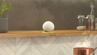 New Amazon Echo Dot