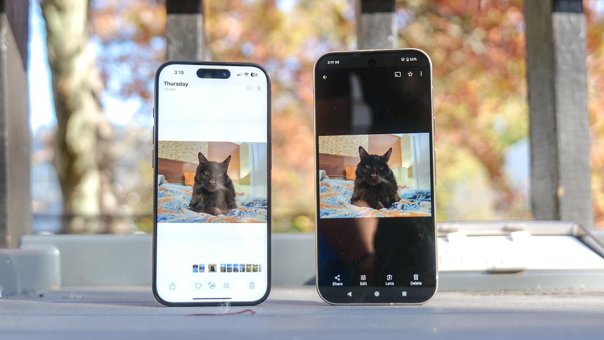 Apple Intelligence Clean Up vs Google Magic Eraser.