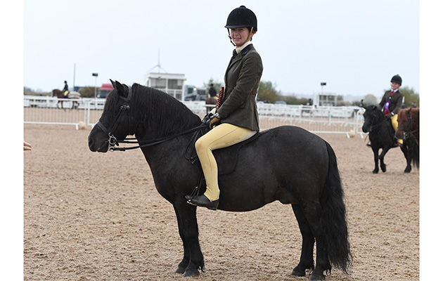 Heritage Show 14 10 2018