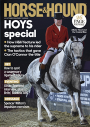 HHcov13Oct-180-lr.jpg