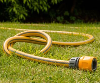 Garden hose on a lawn