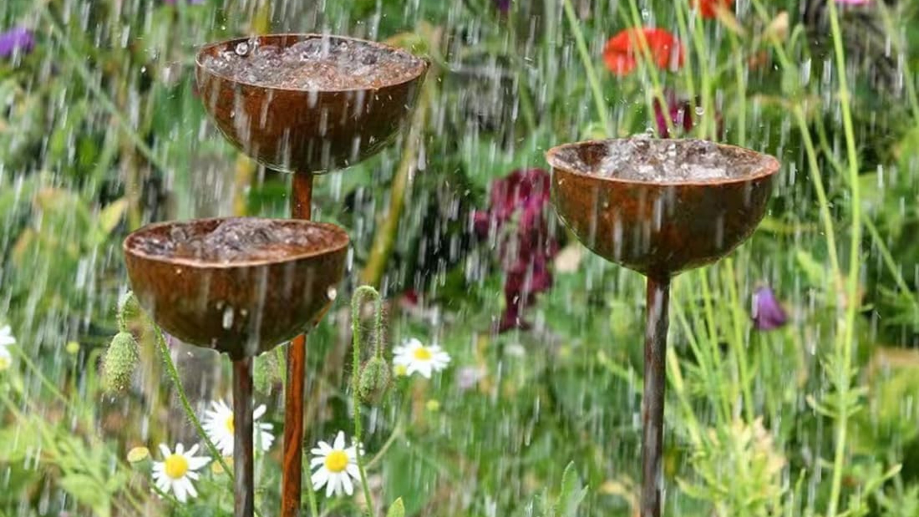 3 Rain Catchers in a wild garden in heavy rain