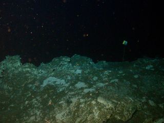 Carbonate rocks at Hydrate Ridge, Oregon, about 2,625 feet (800 meters) below the sea surface. In this cold, dark environment, methane seeps feed microbes living in mud and rock.