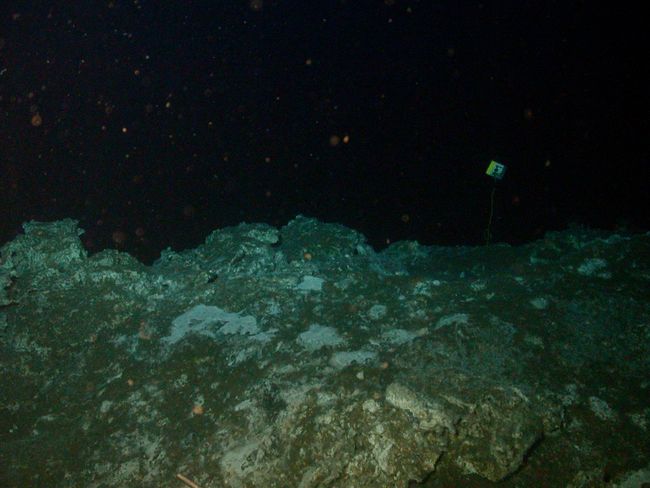 Surprise! Life Discovered Inside Deep-Sea Rocks | Live Science