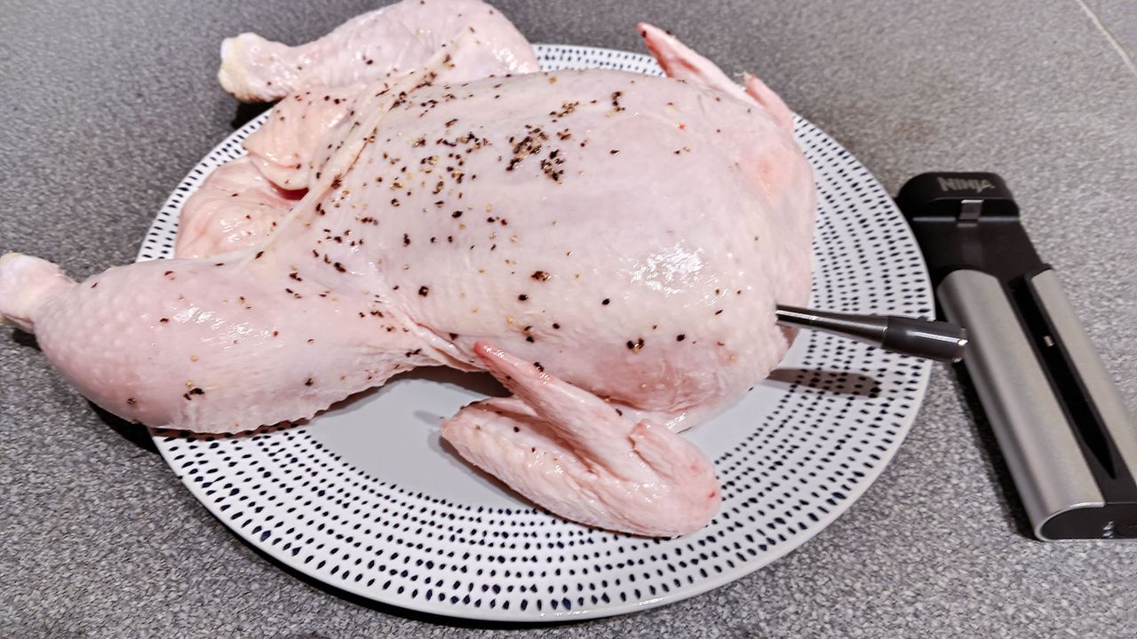 Ninja Pro Chef wireless meat thermometer