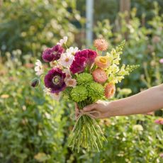 bouquet of homegrown cut flowers grown from seed in sunny garden