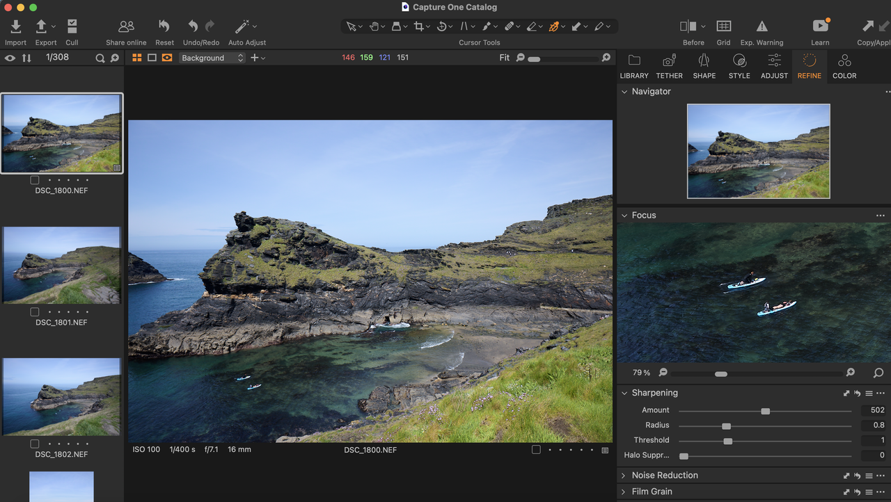 A screenshot from photo editing software Capture One Pro