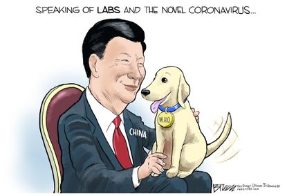 Political Cartoon World Xi Jinping WHO coronavirus China