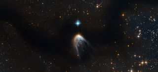 A Young Star Hatches from a Cosmic Cloud