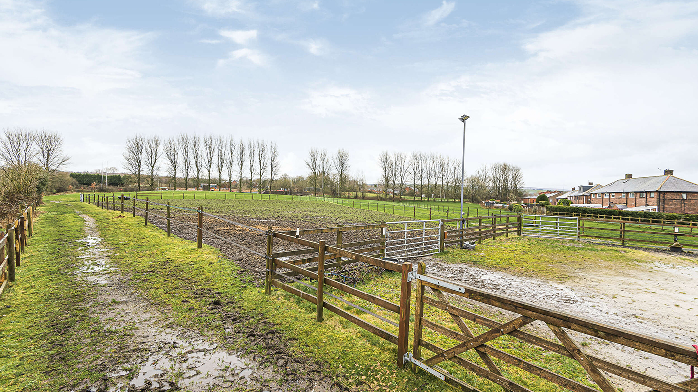 Knott Lanes, Bardsley - paddock[1]