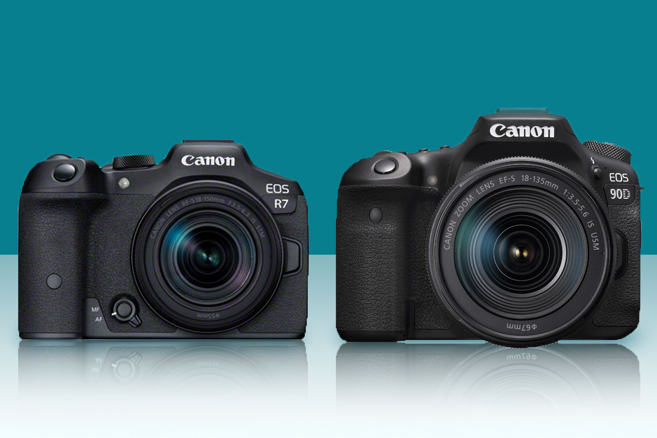 Canon 90D - WHY you should still consider this camera in the age of  mirrorless cameras 