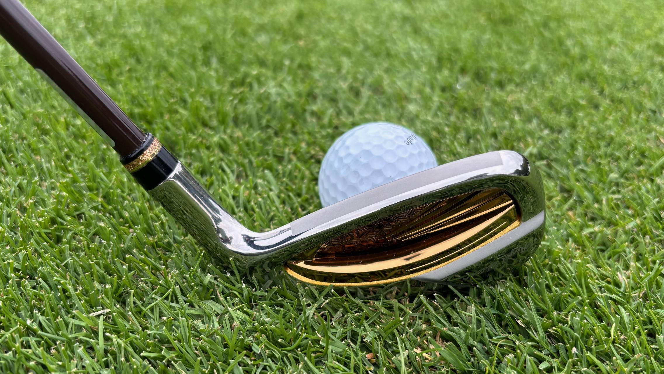 XXIO Prime Royal Edition Ladies Irons