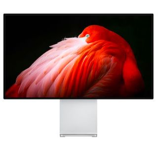 Product shot of Apple Pro Display XDR on white background, showing image of bird.