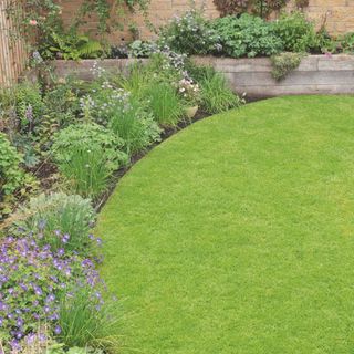 Patch of lawn surrounded by garden borders full of plants