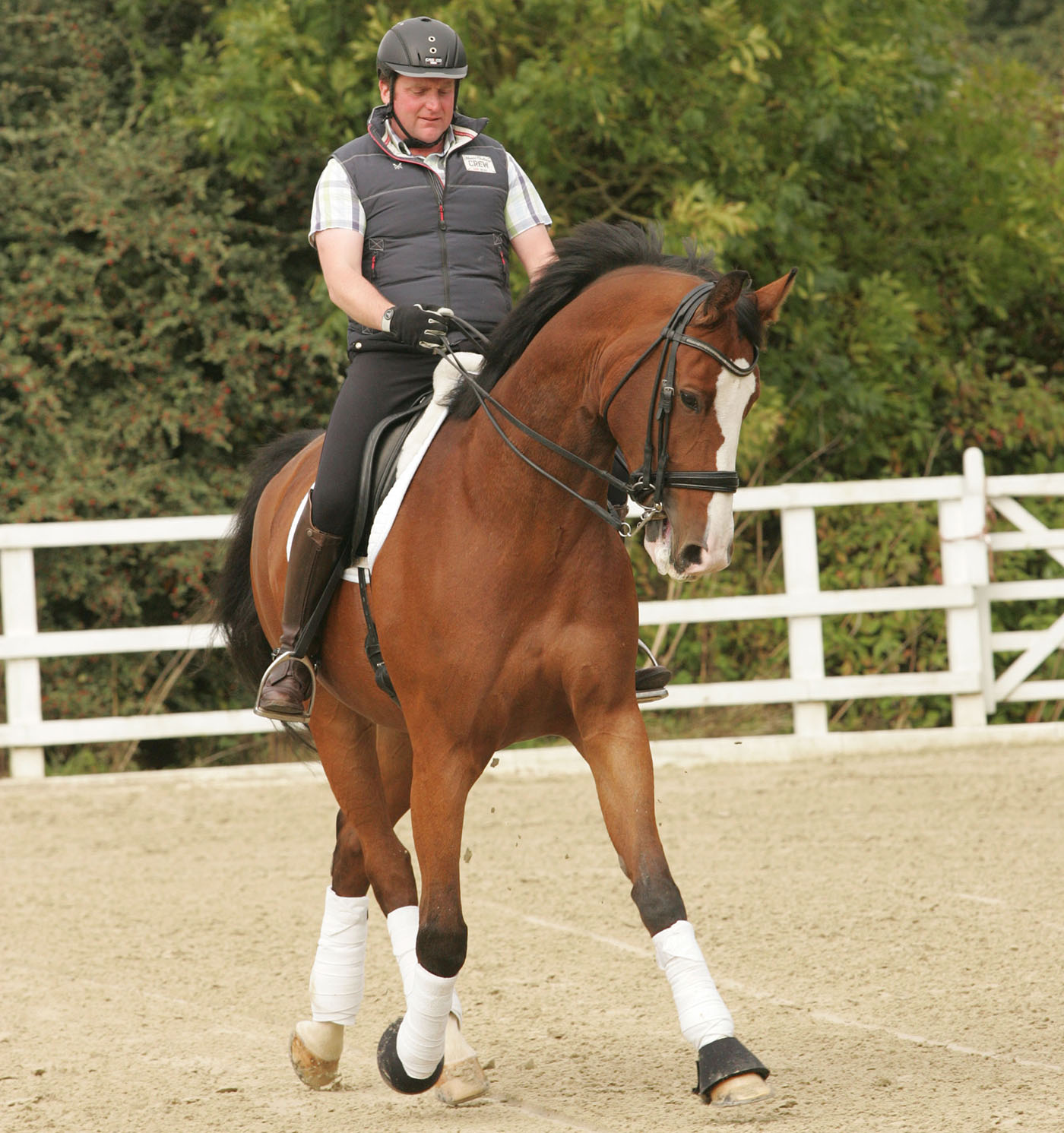 Masterclass Training, Isobel Wessels, 15th October 2012, Half Pass