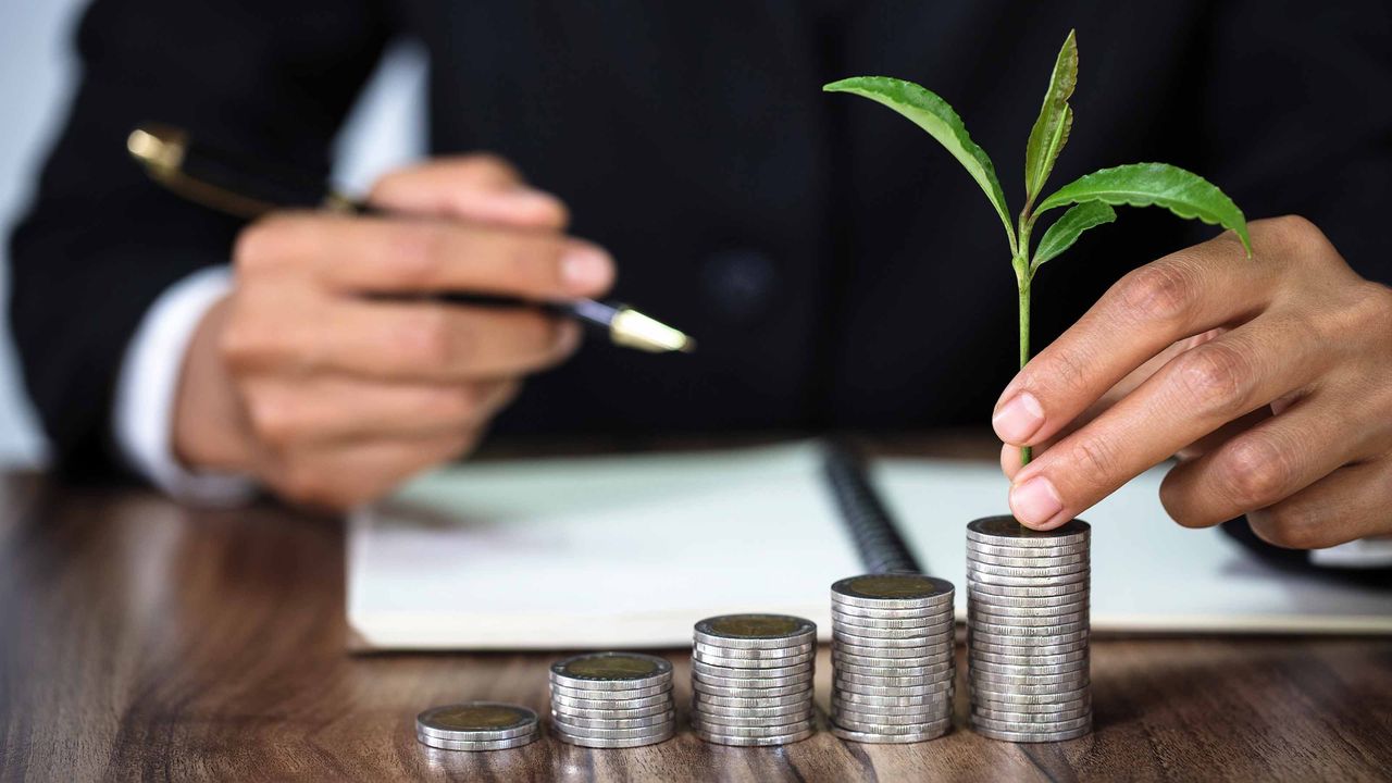 man holding tree growing out of coins