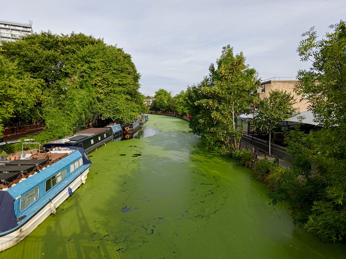 Asus Zenfone 9 camera sample