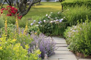 A garden path with lush grass and flowers