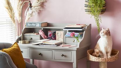 A light gray home office desk with books on top of it and a brass table lamp on top of it, a pink wall behind it with three brown pampas grass stems with a cat to the right on a woven stand
